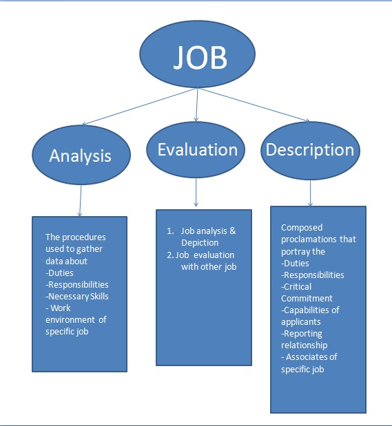export documentation assistant job description