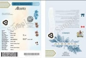 document reqiired for alberta birth certificate